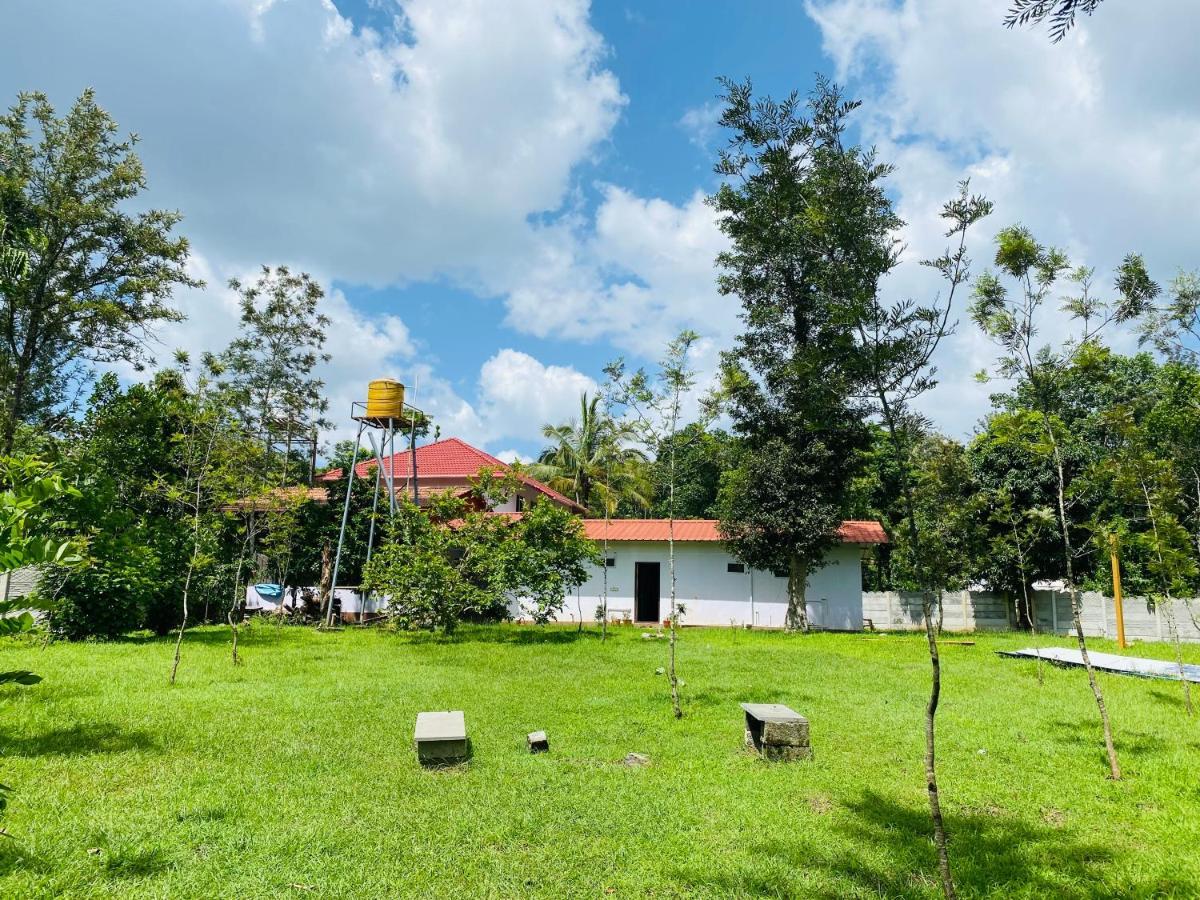 Greenhouse Homestay Siddāpur Exterior foto